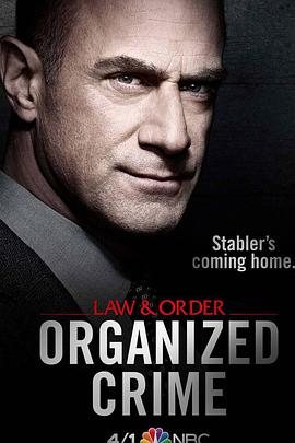 法律与秩序：组织犯罪第一季