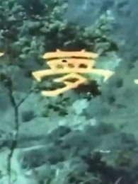 春梦了无痕1968视频封面