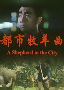 都市牧羊曲视频封面