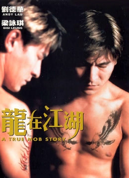 龙在江湖1998视频封面