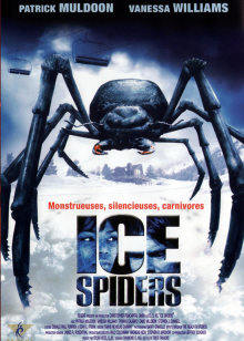 冰冻蜘蛛
