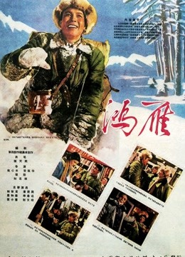 鸿雁（1960）