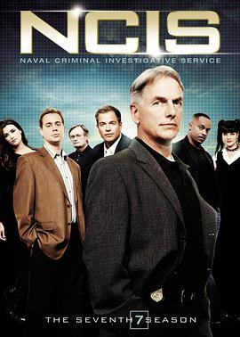 Navy Crime Investigation Season 7