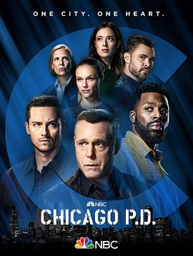芝加哥警署第九季视频封面