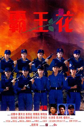 霸王花1988粤语海报
