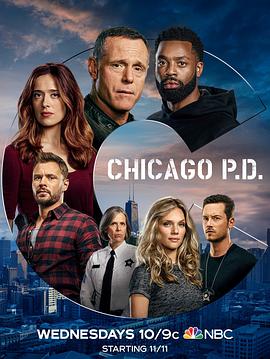 芝加哥警署第八季