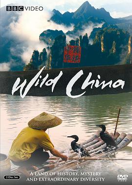 美丽中国2011视频封面