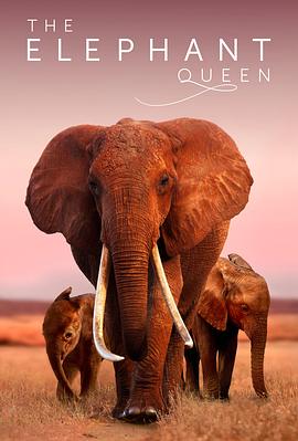 大象女王