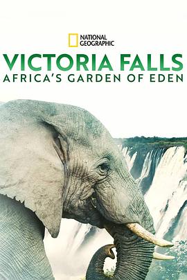 维多利亚瀑布：非洲的伊甸园海报