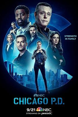 Chicago Police Station Season 10