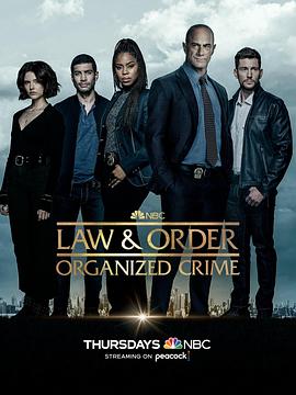 法律与秩序组织犯罪第三季