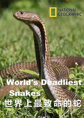 世界上最致命的蛇海报
