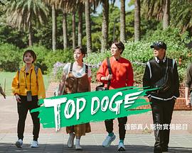 TOPDOG(综艺)