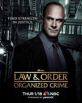 法律与秩序：组织犯罪 第四季的海报