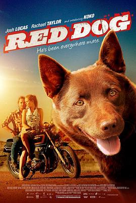 红犬历险记封面图片