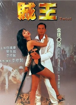 贼王1995封面图片