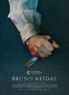 布鲁诺·里德尔，杀人犯的自白封面图片
