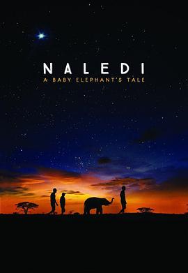 纳勒迪:一只小象的故事