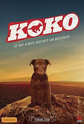 Koko红犬历险记