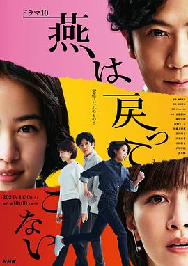 2018日韩剧《燕子不再归来》迅雷下载_中文完整版_百度云网盘720P|1080P资源