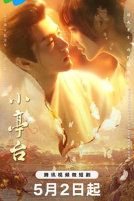 2018国产剧《小亭台》迅雷下载_中文完整版_百度云网盘720P|1080P资源